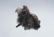 Telescopic Accessories Pole - Feather Duster for Unger poles